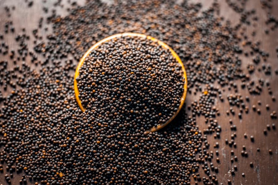 Top 6 Health Benefits of Organic Mustard Seeds – ORCO