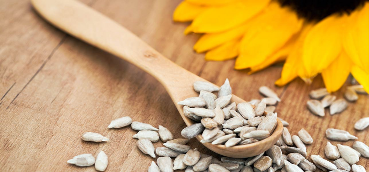 Tasty and simple uses of Organic Sunflower Seeds - ORCO