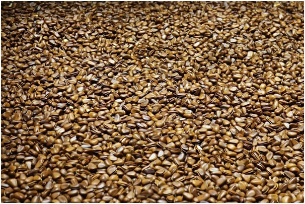 Healthy benefits of organic flax seeds